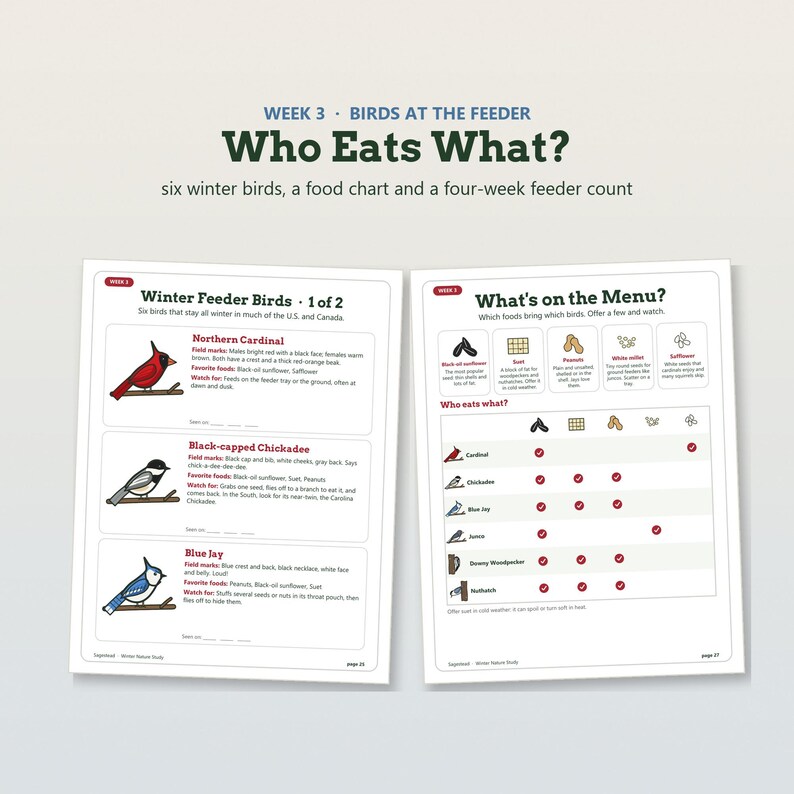 K&ouml;nnte beinhalten: Zwei Bildungsseiten mit dem Titel Week 3 Birds at the Feeder Who Eats What? mit Illustrationen eines Kardinals, einer Schwarzkopfmeise und eines Blauh&auml;hers sowie einer Futtertabelle mit Details zur Vogelern&auml;hrung.
