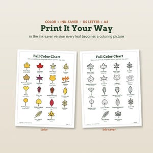 May include: Two printable Fall Color Chart sheets, one in full color and one in black and white ink-saver format. Each chart displays various leaf illustrations with names and colors. Text includes 'Print It Your Way' and 'Fall Color Chart'.