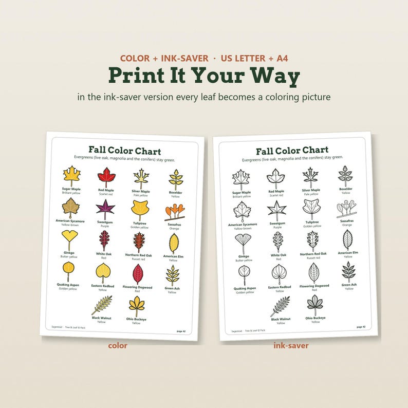May include: Two printable Fall Color Chart sheets, one in full color and one in black and white ink-saver format. Each chart displays various leaf illustrations with names and colors. Text includes 'Print It Your Way' and 'Fall Color Chart'.