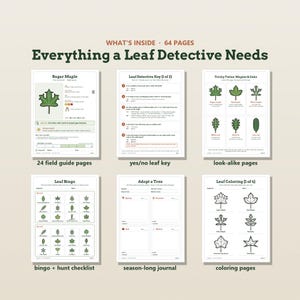 May include: A 64-page educational activity book titled Everything a Leaf Detective Needs. The pages feature a Sugar Maple field guide, a yes/no leaf identification key, a look-alike comparison chart, leaf bingo, a seasonal journal, and coloring pages.