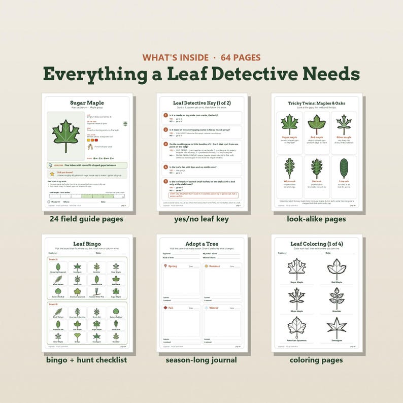 May include: A 64-page educational activity book titled Everything a Leaf Detective Needs. The pages feature a Sugar Maple field guide, a yes/no leaf identification key, a look-alike comparison chart, leaf bingo, a seasonal journal, and coloring pages.