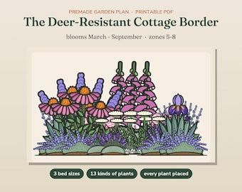 Deer Resistant Garden Plan, Cottage Garden Design PDF, Premade Perennial Flower Bed Layout, 3 Bed Sizes, Plant List, Printable Planting Plan