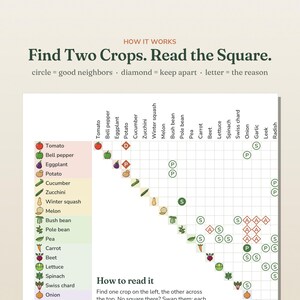 May include: A companion planting chart titled How it works Find Two Crops. Read the Square. The grid displays vegetable icons with circles for good neighbors and diamonds for crops to keep apart, labeled with letters indicating the reason.