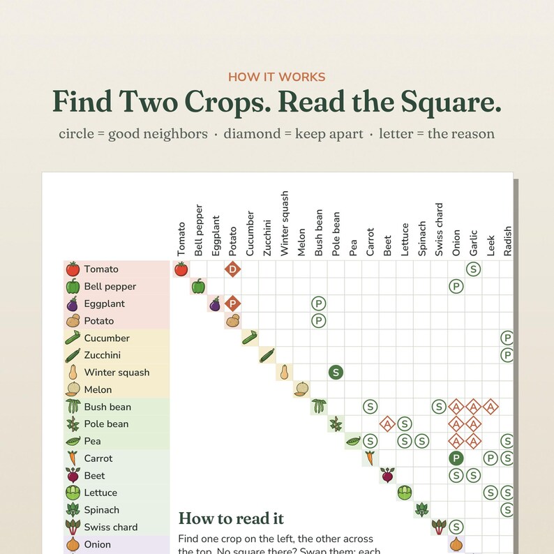 May include: A companion planting chart titled How it works Find Two Crops. Read the Square. The grid displays vegetable icons with circles for good neighbors and diamonds for crops to keep apart, labeled with letters indicating the reason.