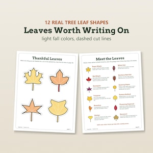Puede incluir: Dos p&aacute;ginas de actividades educativas tituladas 12 Real Tree Leaf Shapes y Leaves Worth Writing On. La p&aacute;gina izquierda presenta cuatro grandes ilustraciones de hojas con l&iacute;neas de corte discontinuas. La derecha enumera datos.