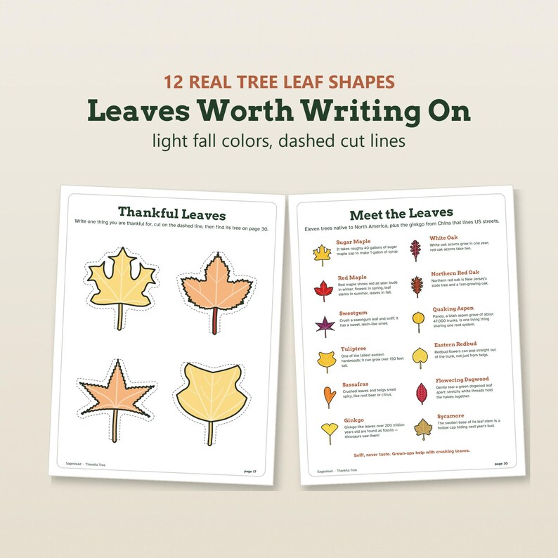 Puede incluir: Dos p&aacute;ginas de actividades educativas tituladas 12 Real Tree Leaf Shapes y Leaves Worth Writing On. La p&aacute;gina izquierda presenta cuatro grandes ilustraciones de hojas con l&iacute;neas de corte discontinuas. La derecha enumera datos.