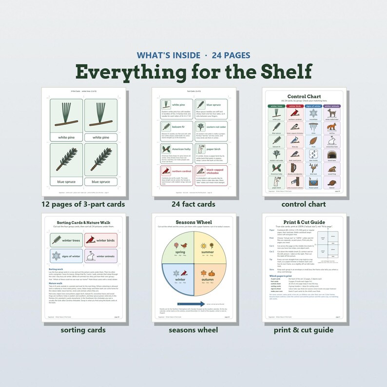 May include: A 24-page educational printable set titled Everything for the Shelf. It includes 12 pages of 3-part cards, 24 fact cards, a control chart, sorting cards, a seasons wheel, and a print and cut guide with detailed instructions.