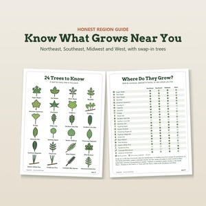 May include: A two-page educational guide titled Honest Region Guide: Know What Grows Near You. The left page displays 24 illustrated green tree leaves with names, while the right page features a chart titled Where Do They Grow with regional data.