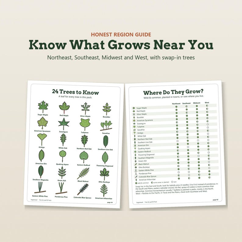 May include: A two-page educational guide titled Honest Region Guide: Know What Grows Near You. The left page displays 24 illustrated green tree leaves with names, while the right page features a chart titled Where Do They Grow with regional data.