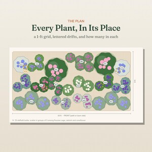 May include: A garden layout plan titled "Every Plant, In Its Place" featuring a 16 ft by 8 ft grid with lettered drifts and circular plant icons in shades of green, pink, blue, and white, including labels like C1, D1, and N: 25 daffodil bulbs.