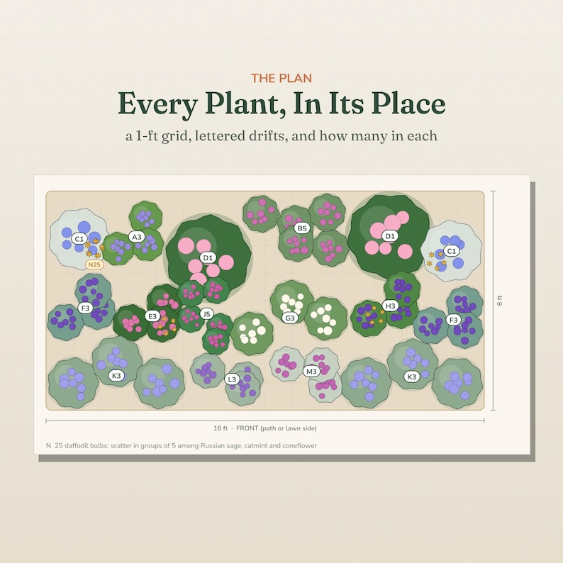 May include: A garden layout plan titled "Every Plant, In Its Place" featuring a 16 ft by 8 ft grid with lettered drifts and circular plant icons in shades of green, pink, blue, and white, including labels like C1, D1, and N: 25 daffodil bulbs.