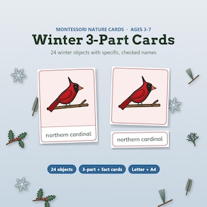 May include: Montessori Nature Cards Winter 3-Part Cards set featuring 24 winter objects. The cards display a red northern cardinal bird on a branch with the text northern cardinal. Includes 3-part and fact cards in Letter and A4 sizes.