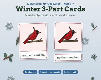Montessori Nature Cards, Winter 3 Part Cards, Winter Nomenclature Cards, Homeschool Preschool Printable, Birds Trees Animals Snowflake