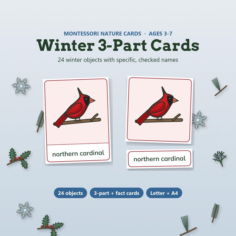 May include: Montessori Nature Cards Winter 3-Part Cards set featuring 24 winter objects. The cards display a red northern cardinal bird on a branch with the text northern cardinal. Includes 3-part and fact cards in Letter and A4 sizes.