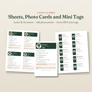 May include: A digital printable set featuring plant care instruction cards for Monstera, Golden Pothos, Snake Plant, and ZZ Plant. The text reads 3 WAYS TO PRINT Sheets, Photo Cards and Mini Tags, Letter & A4 sheets, 4x6 photo prints, Avery 8371 mini tags.