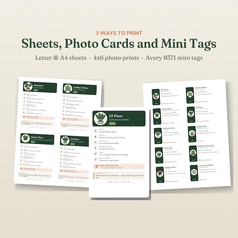 May include: A digital printable set featuring plant care instruction cards for Monstera, Golden Pothos, Snake Plant, and ZZ Plant. The text reads 3 WAYS TO PRINT Sheets, Photo Cards and Mini Tags, Letter & A4 sheets, 4x6 photo prints, Avery 8371 mini tags.