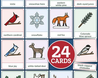Montessori Nature Cards, Winter 3 Part Cards, Winter Nomenclature Cards, Homeschool Preschool Printable