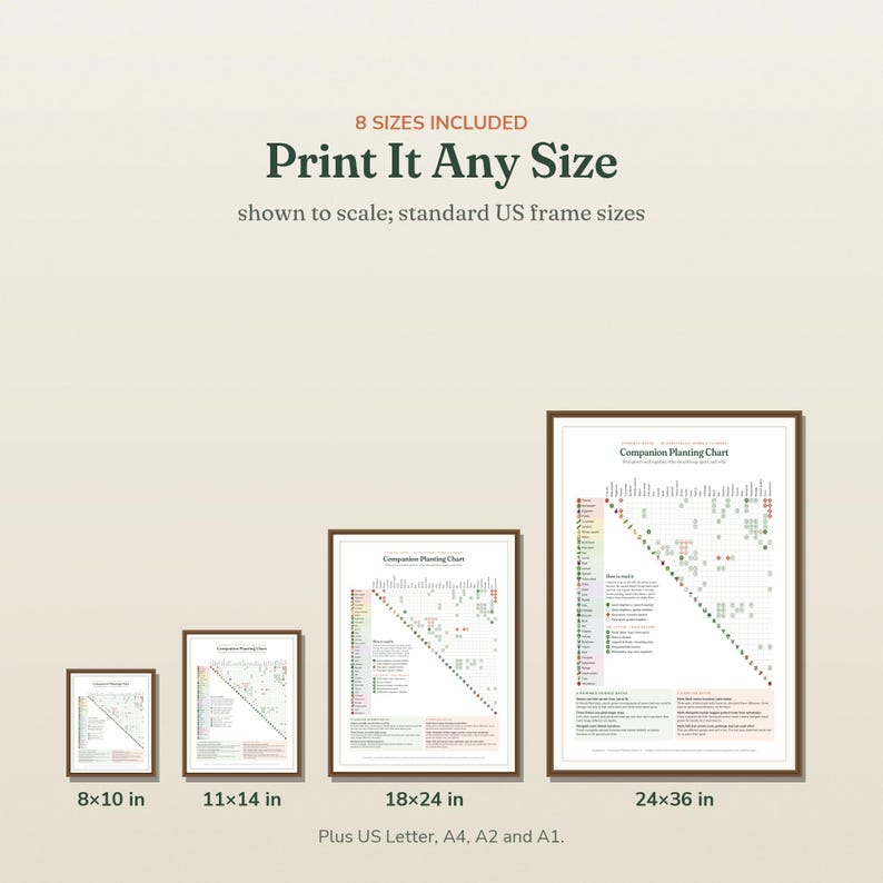 May include: A digital companion planting chart displayed in four different frame sizes: 8x10 in, 11x14 in, 18x24 in, and 24x36 in. The text reads 8 SIZES INCLUDED Print It Any Size, shown to scale; standard US frame sizes, plus US Letter, A4, A2 and A1.