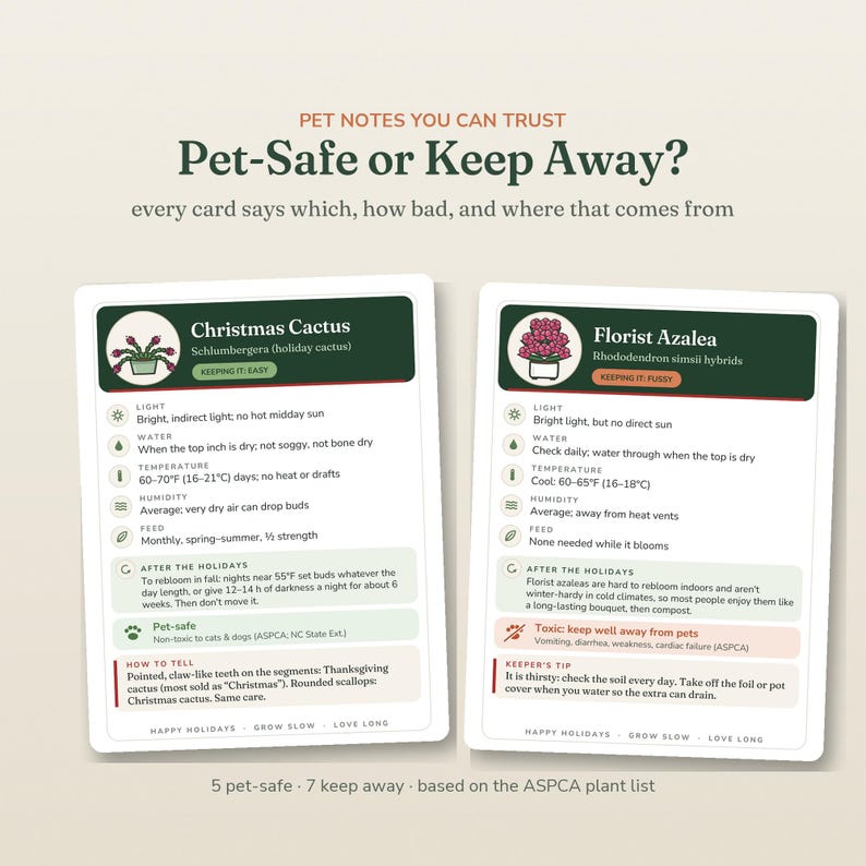 May include: Two rectangular informational cards titled Pet-Safe or Keep Away, featuring care instructions for a Christmas Cactus and a Florist Azalea. Each card includes icons for light, water, temperature, humidity, and feed, plus plant-specific tips.