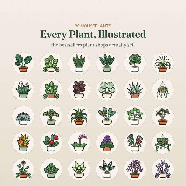 May include: A digital poster titled 30 HOUSEPLANTS Every Plant, Illustrated the bestsellers plant shops actually sell. It features a grid of thirty circular icons, each displaying a different potted houseplant in a flat, colorful graphic style.