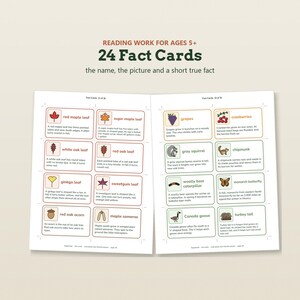 May include: A set of 24 educational fact cards for children aged 5 and up, featuring illustrations and descriptions of nature items like leaves, animals, and insects. The cards are organized in a grid format with text labels and short facts.