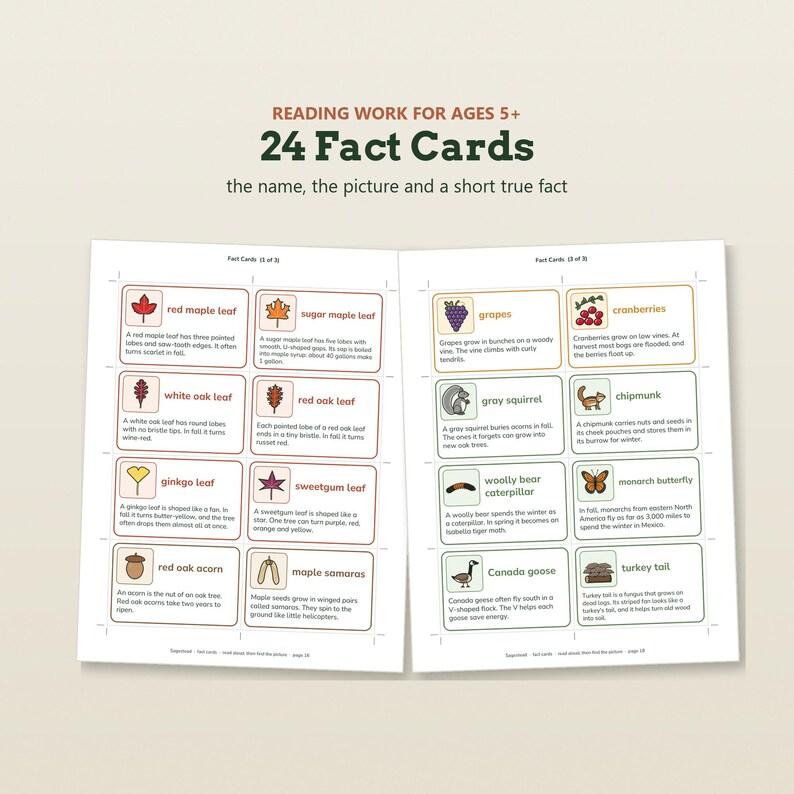 May include: A set of 24 educational fact cards for children aged 5 and up, featuring illustrations and descriptions of nature items like leaves, animals, and insects. The cards are organized in a grid format with text labels and short facts.
