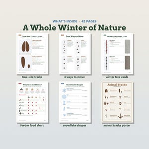K&ouml;nnte beinhalten: Ein 42-seitiges p&auml;dagogisches Natur-Aktivit&auml;tsset mit dem Titel A Whole Winter of Nature. Es enth&auml;lt gedruckte Bl&auml;tter mit Tierspuren in Originalgr&ouml;&szlig;e, vier Bewegungsarten, Winterbaum-Bestimmungskarten, eine Futtertabelle, Schneeflockenformen und ein Tierspuren-Poster.