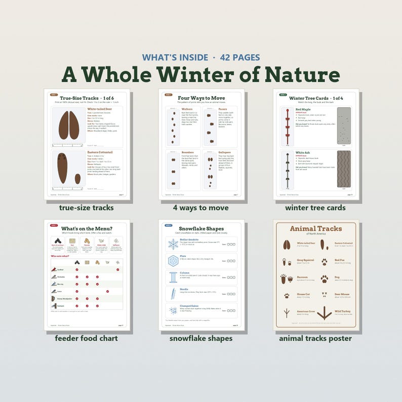 K&ouml;nnte beinhalten: Ein 42-seitiges p&auml;dagogisches Natur-Aktivit&auml;tsset mit dem Titel A Whole Winter of Nature. Es enth&auml;lt gedruckte Bl&auml;tter mit Tierspuren in Originalgr&ouml;&szlig;e, vier Bewegungsarten, Winterbaum-Bestimmungskarten, eine Futtertabelle, Schneeflockenformen und ein Tierspuren-Poster.