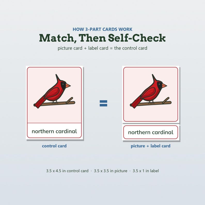 May include: Educational 3-part cards showing a northern cardinal on a branch. Text reads: HOW 3-PART CARDS WORK Match, Then Self-Check, picture card + label card = the control card, northern cardinal. Dimensions: 3.5 x 4.5 in, 3.5 x 3.5 in, 3.5 x 1 in.