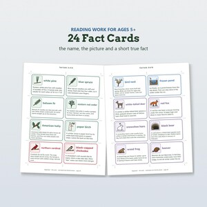 May include: A set of 24 educational fact cards titled Reading Work for Ages 5+. Each card features a colorful illustration and a short true fact about nature, including trees like white pine and animals such as the red fox and black bear.