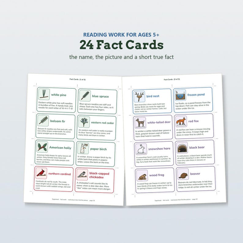 May include: A set of 24 educational fact cards titled Reading Work for Ages 5+. Each card features a colorful illustration and a short true fact about nature, including trees like white pine and animals such as the red fox and black bear.