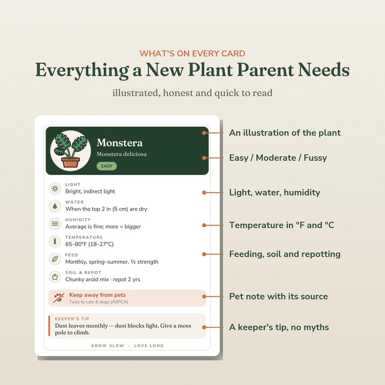 May include: An educational plant care card titled Everything a New Plant Parent Needs. The card features a Monstera illustration, care icons for light, water, humidity, temperature, feeding, and soil, plus pet safety warnings and a keeper's tip.