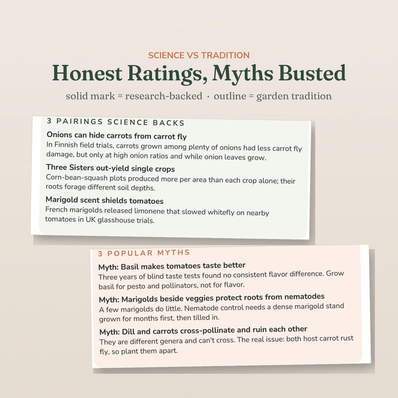 May include: An infographic titled Science vs Tradition: Honest Ratings, Myths Busted. It lists 3 Pairings Science Backs, including onions with carrots, Three Sisters crops, and marigolds with tomatoes, plus 3 Popular Myths about basil, marigolds, and dill.