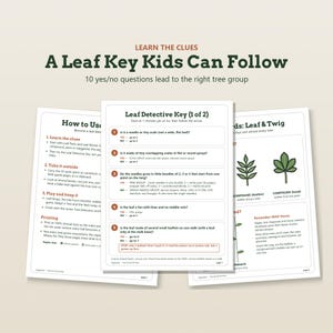 May include: A set of three educational printable pages titled Learn the Clues: A Leaf Key Kids Can Follow. The documents feature a Leaf Detective Key with numbered yes or no questions, instructions on how to use the guide, and illustrations of leaves.