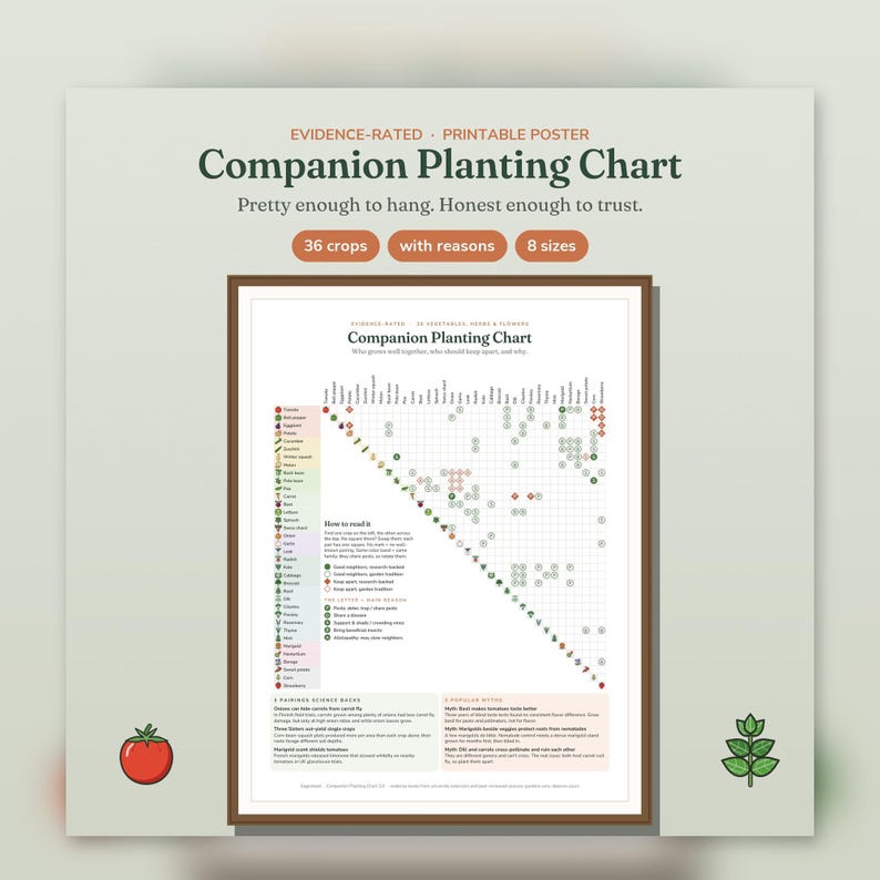 May include: A printable companion planting chart poster featuring a grid of 36 crops with reasons for pairing. The chart includes a legend, instructions on how to read it, and science-based facts. The design is framed with a dark brown border.