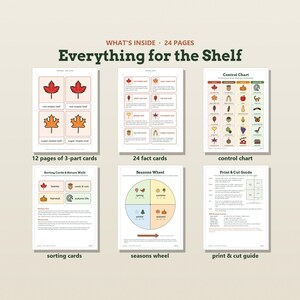 May include: A 24-page printable educational set titled Everything for the Shelf. It includes 12 pages of 3-part cards, 24 fact cards, a control chart, sorting cards, a seasons wheel, and a print and cut guide featuring nature-themed illustrations.