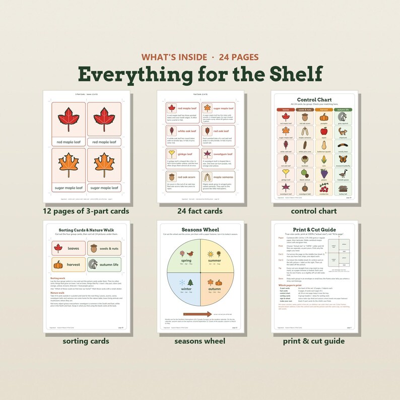 May include: A 24-page printable educational set titled Everything for the Shelf. It includes 12 pages of 3-part cards, 24 fact cards, a control chart, sorting cards, a seasons wheel, and a print and cut guide featuring nature-themed illustrations.