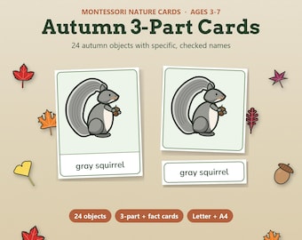 Montessori Nature Cards, Autumn 3 Part Cards, Fall Nomenclature Cards, Homeschool Preschool Printable, Leaves Seeds Harvest Animals