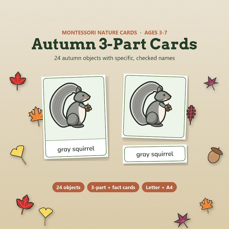 May include: Montessori nature cards titled Autumn 3-Part Cards for ages 3-7. The set includes 24 autumn objects with specific names. Two cards feature a gray squirrel illustration with the text gray squirrel below. Decorative autumn leaves surround the cards.