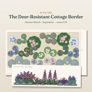May include: A garden design plan titled The Deer-Resistant Cottage Border, featuring a top-down layout with labeled plant zones and a front-view illustration of summer blooms. The diagram includes text indicating blooms March-September and zones 5-8.