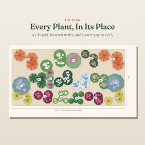 May include: A garden layout plan titled THE PLAN Every Plant, In Its Place, a 1-ft grid, lettered drifts, and how many in each. The rectangular diagram shows a 16 ft by 8 ft area with various colored plant icons labeled with letters and numbers.