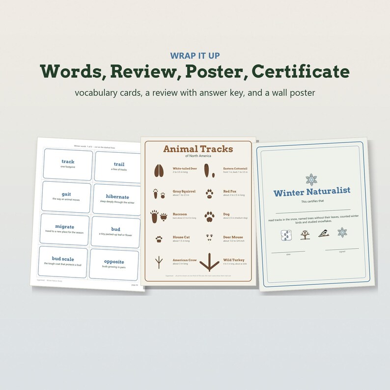 K&ouml;nnte beinhalten: Ein Set aus Lehrmaterialien mit einem Blatt Vokabelkarten, einem "Animal Tracks of North America"-Poster mit braunen Illustrationen und einem "Winter Naturalist"-Zertifikat. Der Text umfasst "WRAP IT UP", "Words, Review, Poster, Certificate" und "vocabulary cards, a review with answer key, and a wall poster".