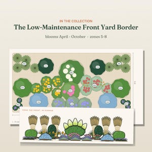 May include: A garden design plan titled The Low-Maintenance Front Yard Border, showing a top-down layout with labeled plant zones and a side-view illustration labeled From the Front, In Summer. The plan includes dimensions of 8 ft by 25 ft.