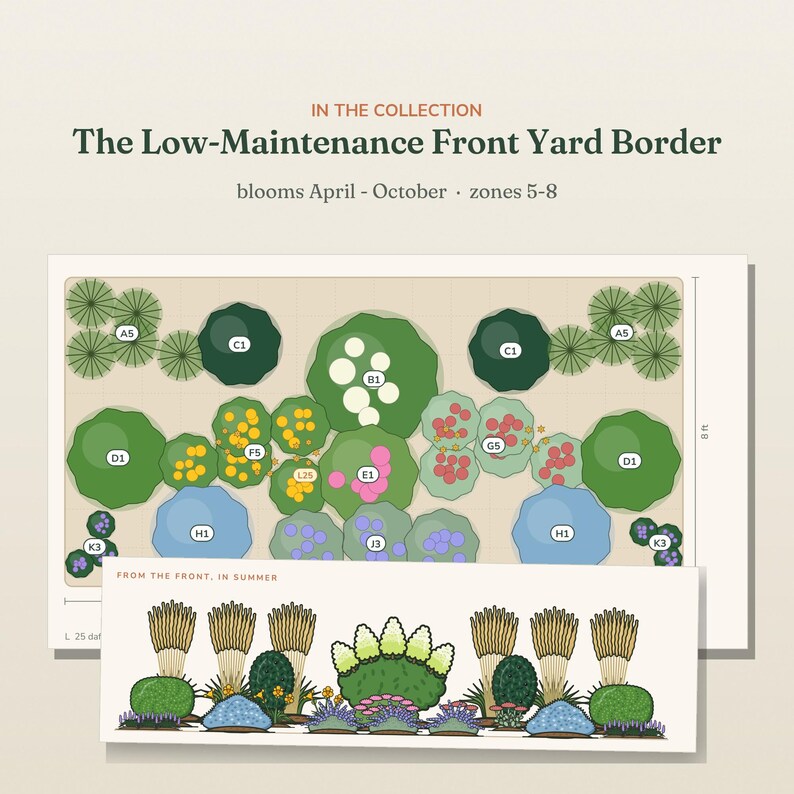 May include: A garden design plan titled The Low-Maintenance Front Yard Border, showing a top-down layout with labeled plant zones and a side-view illustration labeled From the Front, In Summer. The plan includes dimensions of 8 ft by 25 ft.