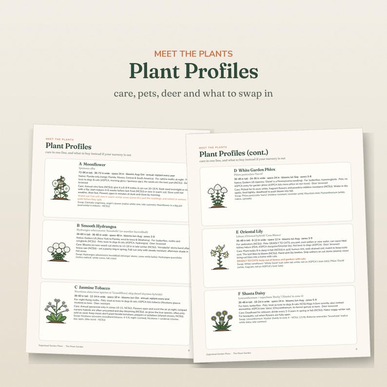 May include: Two pages of a document titled Plant Profiles, featuring text and illustrations of six plants: Moonflower, Smooth Hydrangea, Jasmine Tobacco, White Garden Phlox, Oriental Lily, and Shasta Daisy, with care and pet safety details.