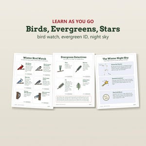 May include: Three educational activity sheets titled Learn As You Go: Birds, Evergreens, Stars. The pages feature illustrations and text for identifying winter birds, evergreen trees, and night sky elements like Orion and the Cold Moon.