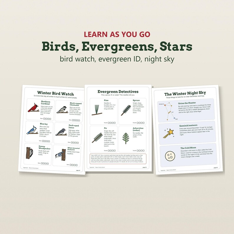 May include: Three educational activity sheets titled Learn As You Go: Birds, Evergreens, Stars. The pages feature illustrations and text for identifying winter birds, evergreen trees, and night sky elements like Orion and the Cold Moon.