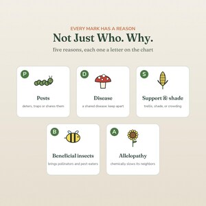 May include: An educational infographic titled Every Mark Has A Reason, Not Just Who. Why. It features five white square cards with green letter icons P, D, S, B, and A, each displaying a small illustration of a caterpillar, mushroom, corn, bee, and sunflower.