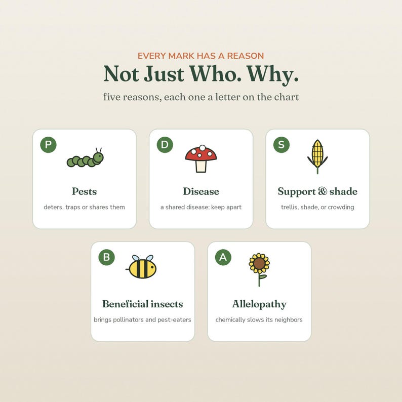 May include: An educational infographic titled Every Mark Has A Reason, Not Just Who. Why. It features five white square cards with green letter icons P, D, S, B, and A, each displaying a small illustration of a caterpillar, mushroom, corn, bee, and sunflower.