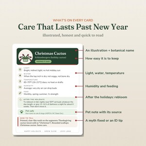 May include: An informational card titled Care That Lasts Past New Year featuring a Christmas Cactus illustration. It lists care instructions including light, water, temperature, humidity, and feeding requirements, plus pet-safety and reblooming tips.